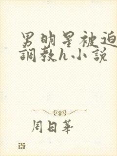 男明星被迫sm调教h小说