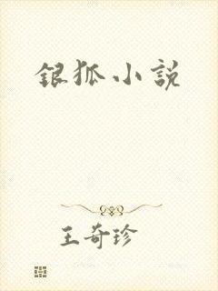 银狐小说封面
