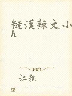 糙汉辣文小说纯h