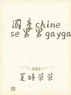 国产chinese男男gaygay 网站