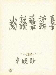 小说苏沛真全文阅读最新章节更新时间