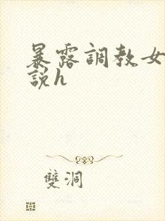 暴露调教女友小说h封面