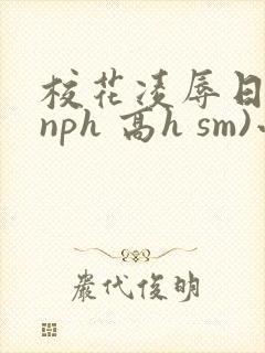 校花凌辱日记(nph 高h sm)小说封面