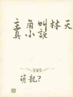 主角叫林天的修真小说