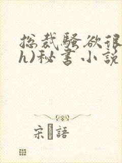 总裁骚欲很大(h)秘书小说封面
