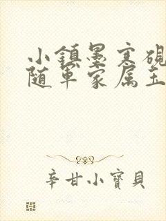 小镇墨寒砚阅读随军家属玉子