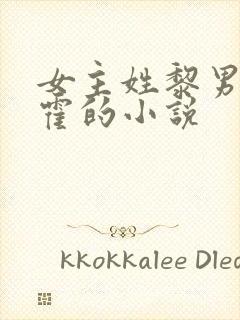 女主姓黎男主姓霍的小说