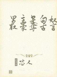 男主是匈奴的强取豪夺古言