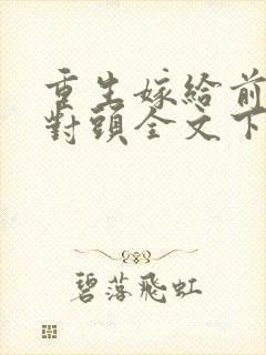 重生嫁给前夫死对头全文下载