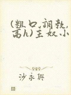 (粗口,调教,高h)主奴小说