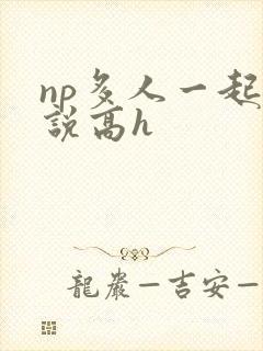 np多人一起小说高h