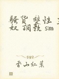 骚货 双性 主奴 调教 sm封面