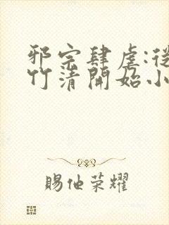 邪宗肆虐:从朱竹清开始小说