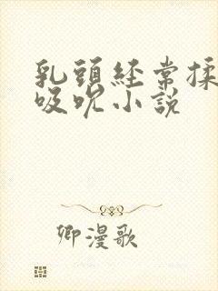 乳头经常揉捏和吸吮小说