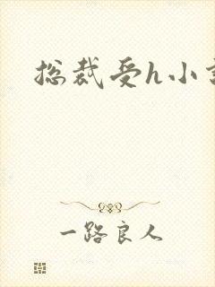 总裁受h小说封面