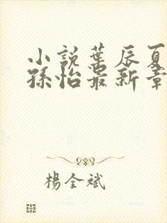 小说叶辰夏若雪孙怡最新章节