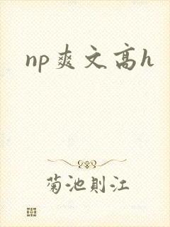 np爽文高h封面