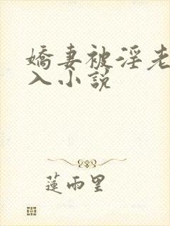 娇妻被淫老头进入小说