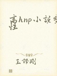 高hnp小说双性