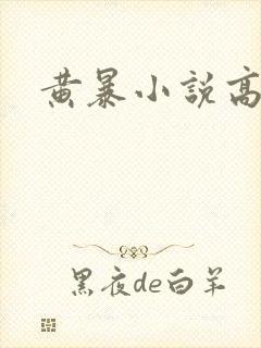 黄暴小说高h
