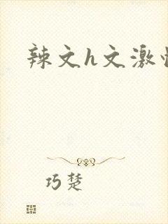 辣文h文激情文封面