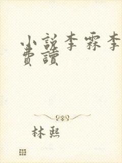 小说李霖李澜免费读封面