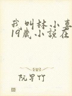 我叫林小喜今年19岁小说在线阅读全文