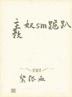 主奴sm跪趴调教