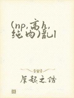 (np,高h,纯肉)乱l