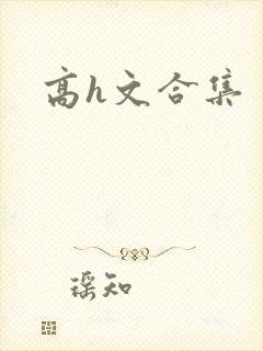 高h文合集