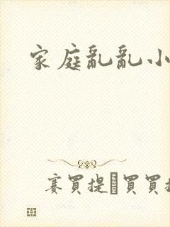 家庭乱乱小说封面