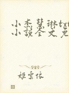 小杰慧琳txt小说全文免费阅读封面