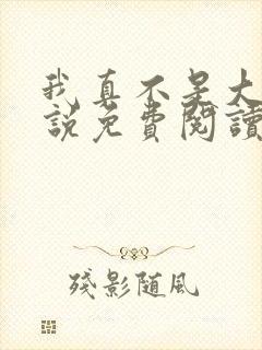 我真不是大佬小说免费阅读