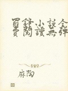 罗铮小说全文免费阅读无弹窗