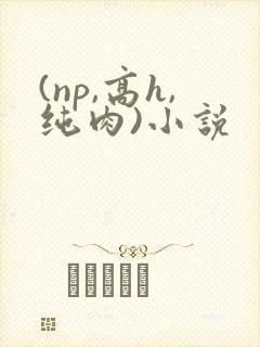 (np,高h,纯肉)小说