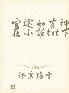 官途如有神何常在小说txt下载全集