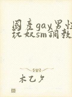 国产gay男性玩奴sm调教