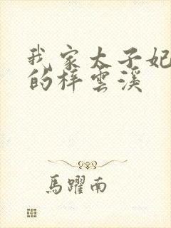 我家太子妃超凶的梓云溪