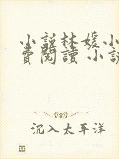 小说林媛小正免费阅读 小说封面