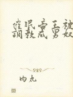 催眠帝王被主人调教成男奴