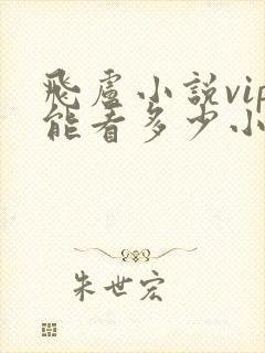 飞卢小说vip能看多少小说