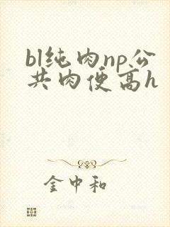 bl纯肉np公共肉便高h