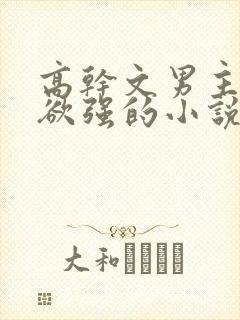 高干文男主占有欲强的小说