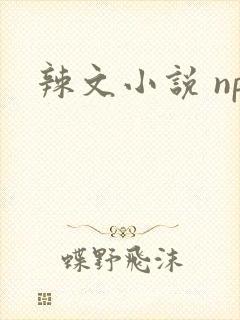 辣文小说 np