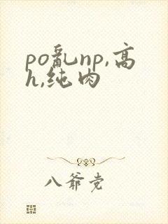 po乱np,高h,纯肉