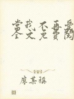 当我不再爱你时全文免费阅读封面