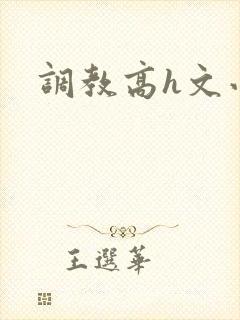 调教高h文小说封面