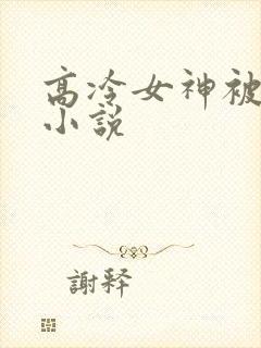 高冷女神被调教小说