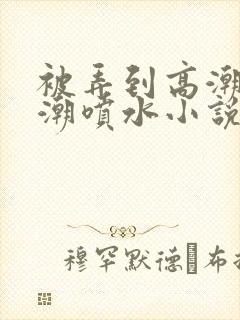 被弄到高潮失禁潮喷水小说