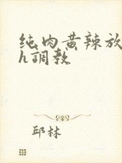 纯肉黄辣放荡高h调教